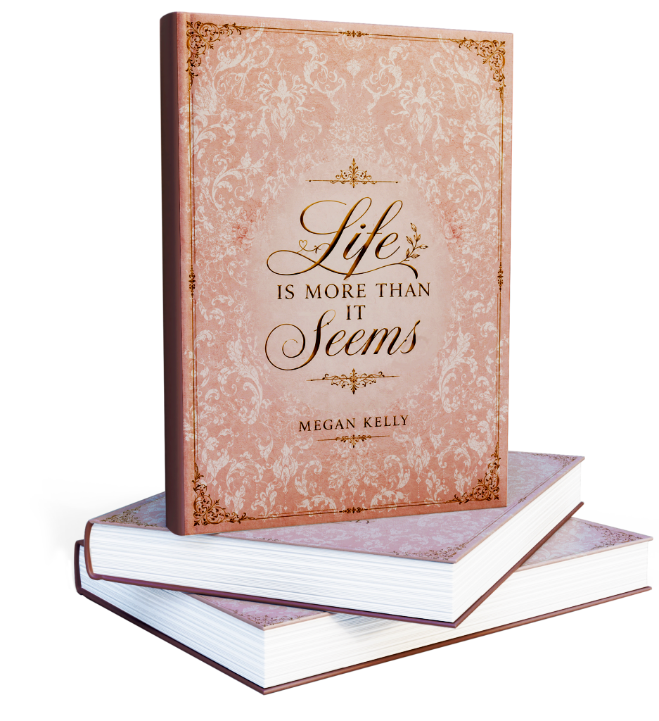 Life is More Than It Seems - Book Cover